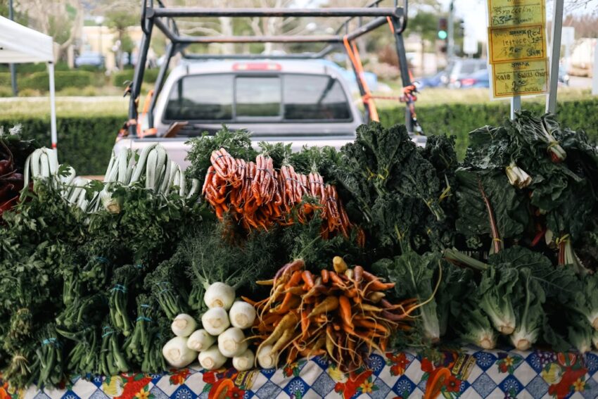 Photo Fresh vegetables